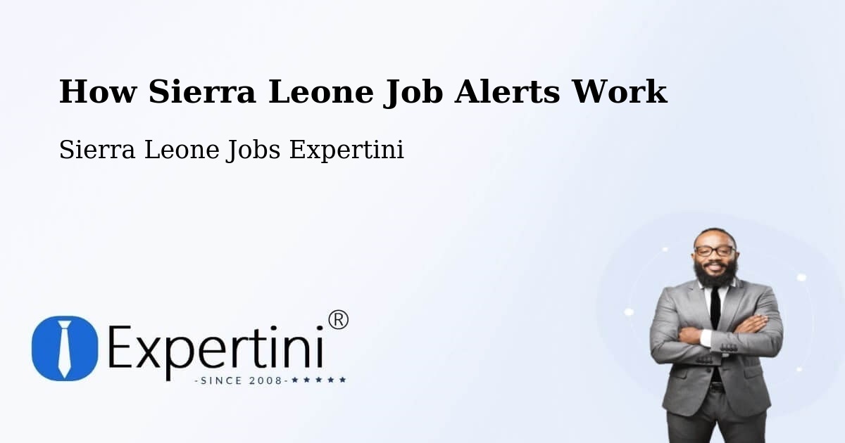 Job Alert System Overview – Bindi - Sierra Leone Jobs Expertini